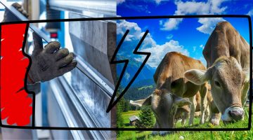 Schulung Speicher PV Landwirtschaft Gewerbe